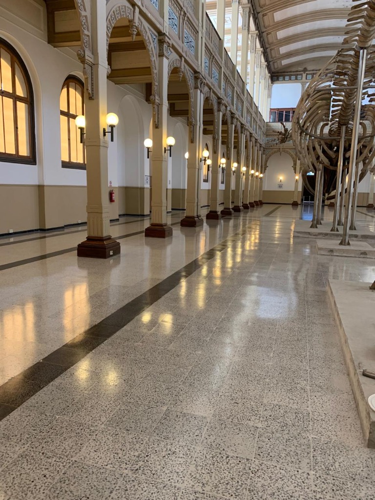 Museo baldosas resultado brillante